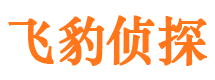 随县侦探公司